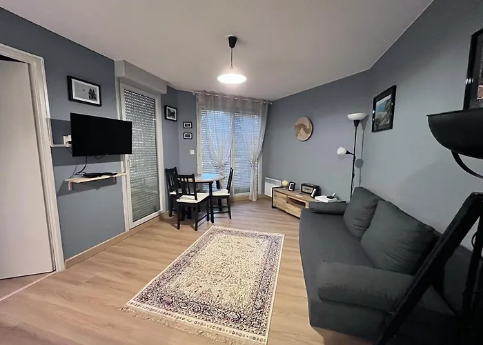 Appartement T2 Minimes Avec Piscine